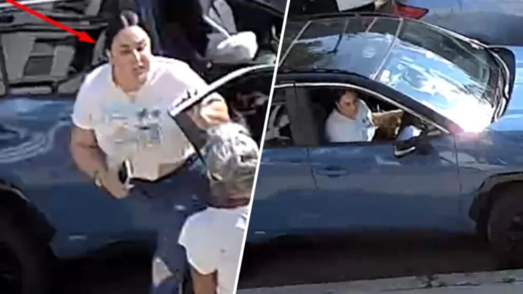 Boston Police Seek Help Identifying Woman in Roxbury Assault on Elderly Person