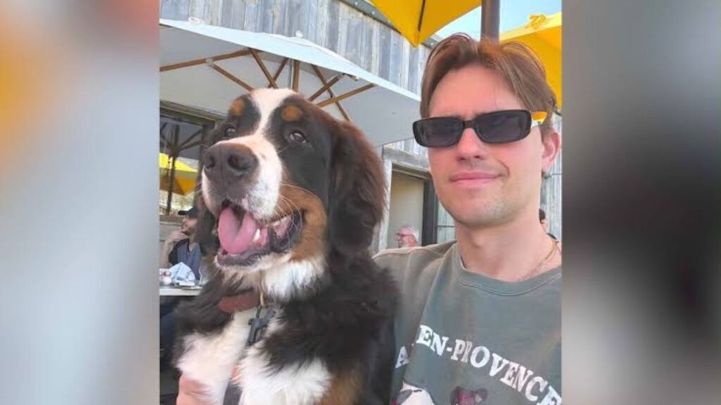 Dog Dies 2 Days Into Boarding Stay, Leaving Los Angeles Owner With Questions Dog Dies 2 Days Into Boarding Stay, Leaving Los Angeles Owner With Questions