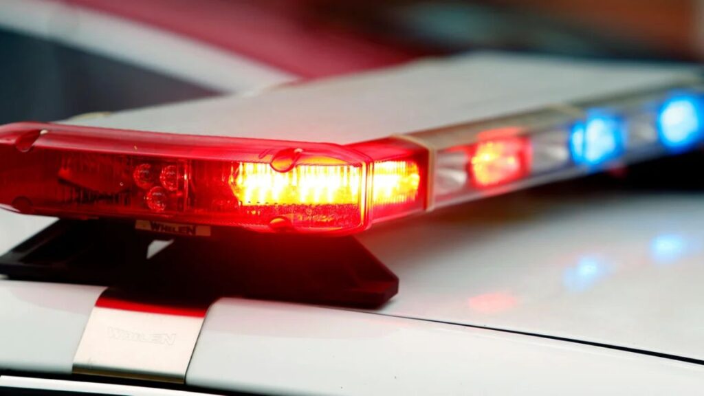 Harvey Police Investigate After Human Remains Found Near Halsted Street