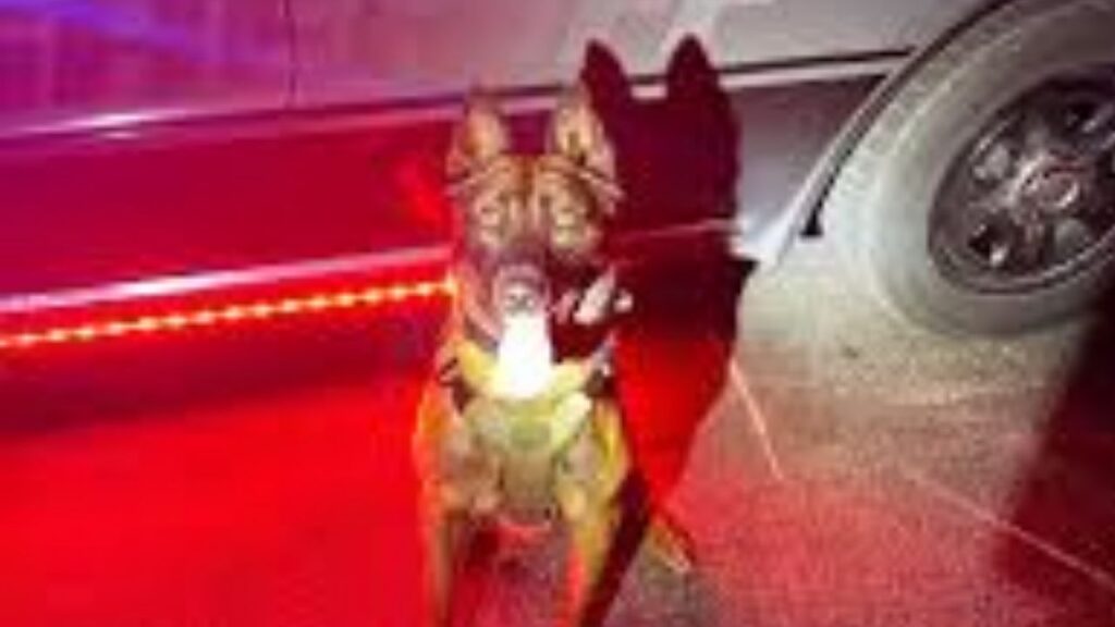 North Vernon Traffic Stop Leads to Drug, Dealing Charges North Vernon Traffic Stop Leads to Drug, Dealing Charges