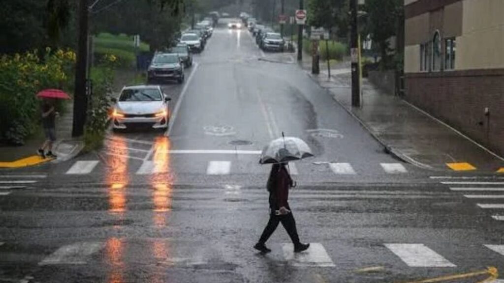 Pittsburgh’s Summer Rain Total Nears 7 Inches, With More on the Way This Weekend Pittsburgh's Summer Rain Total Nears 7 Inches, With More on the Way This Weekend