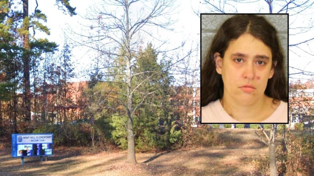 Woman Accused of Pulling Gun After Road-Rage Dispute at Mint Hill School Drop-Off Woman Accused of Pulling Gun After Road-Rage Dispute at Mint Hill School Drop-Off