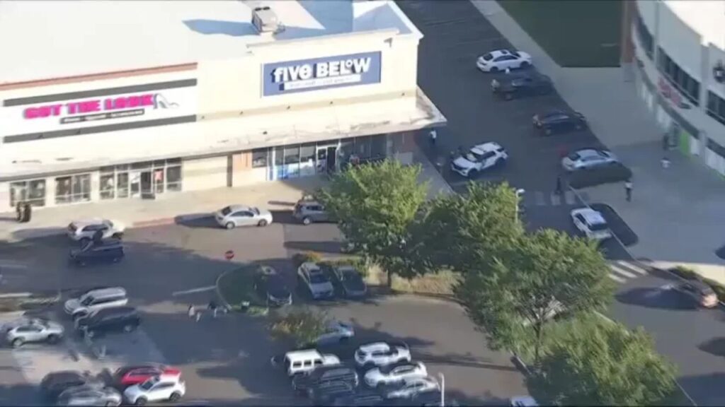 25-Year-Old Man Killed in Shooting at Philadelphia Shopping Center, Police Say