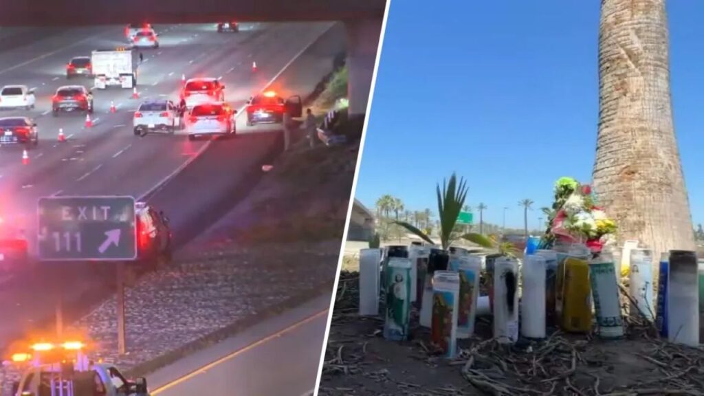 3 Teens Killed in Anaheim 5 Freeway Crash Identified 3 Teens Killed in Anaheim 5 Freeway Crash Identified