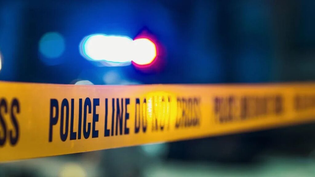 Elk Grove Man Injured by Birdshot in Siskiyou County; Neighbor Arrested Elk Grove Man Injured by Birdshot in Siskiyou County; Neighbor Arrested