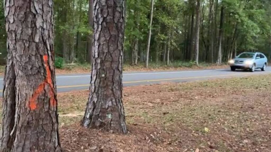 Holbrook Police Search for Driver After Teen Struck in Hit-and-Run