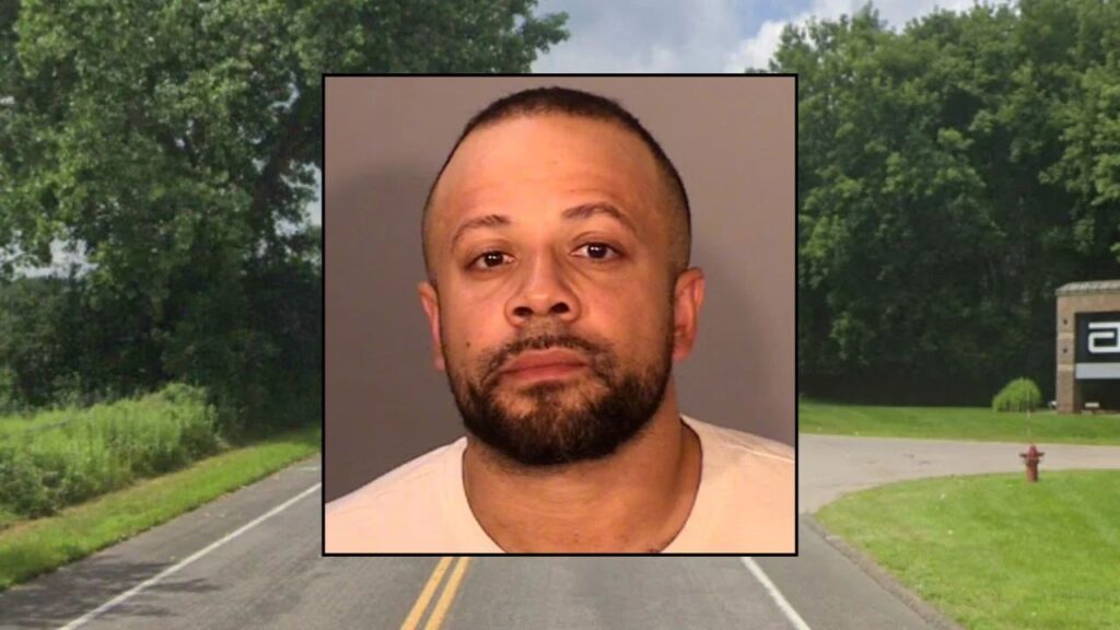 Little Canada Driver Accused of Fatal Hit-and-Run Before Stopping at McDonald’s Little Canada Driver Accused of Fatal Hit-and-Run Before Stopping at McDonald’s