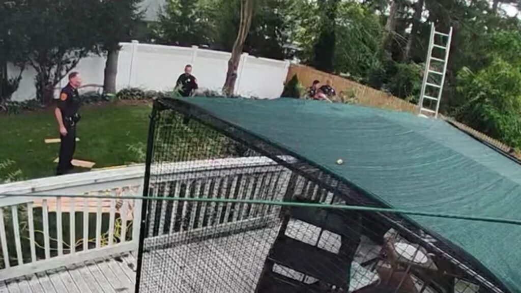 Long Island Woman Rescued After Falling 8 Feet Into Backyard Hole on Her Birthday Long Island Woman Rescued After Falling 8 Feet Into Backyard Hole on Her Birthday