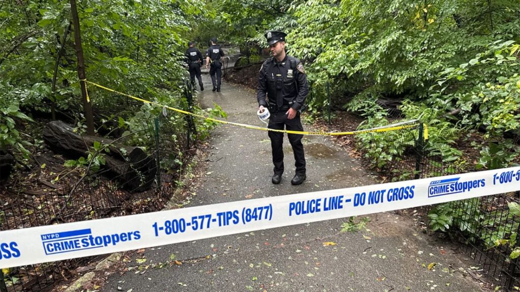 Man Charged With Murder After 63-Year-Old Woman Found Dead in Central Park Man Charged With Murder After 63-Year-Old Woman Found Dead in Central Park