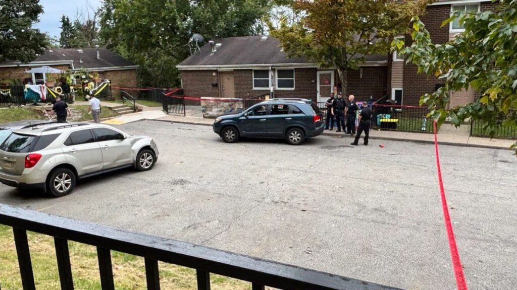 Man Critically Injured After Woman Allegedly Runs Him Over in Pittsburgh’s Homewood North Man Critically Injured After Woman Allegedly Runs Him Over in Pittsburgh’s Homewood North