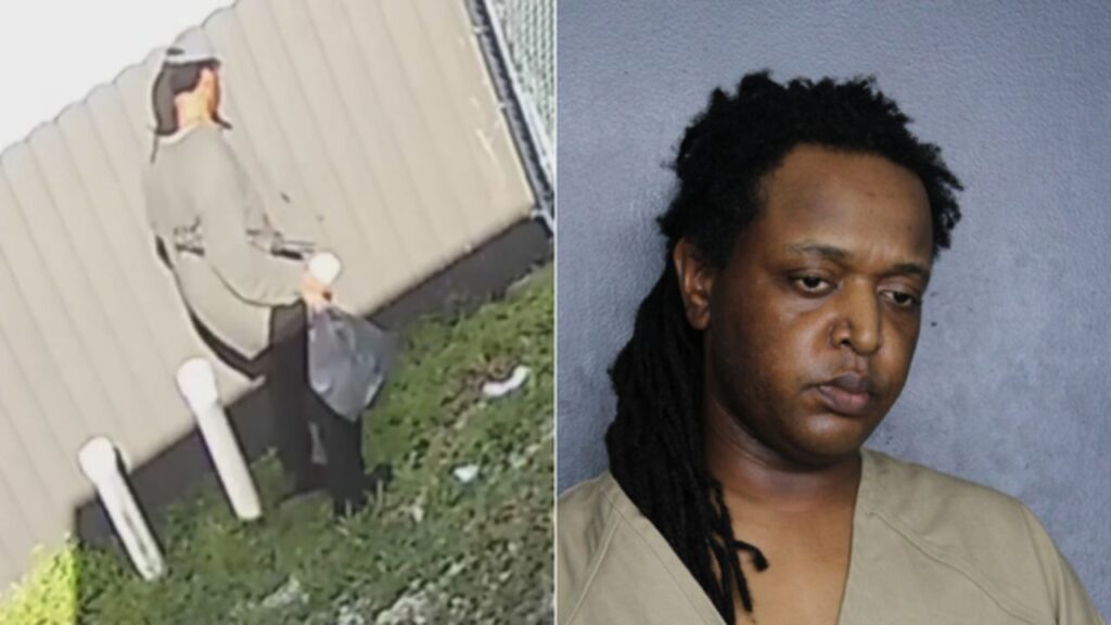 Man arrested after surveillance video shows ducks killed in Pembroke Pines