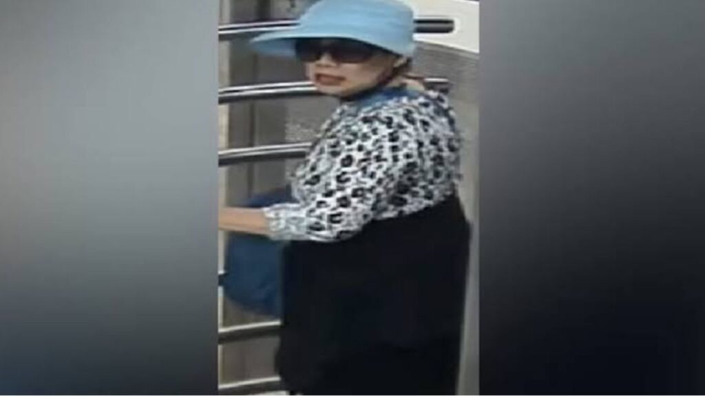 Police Search for Suspect After 6-Year-Old Girl Is Grabbed at Manhattan Subway Station