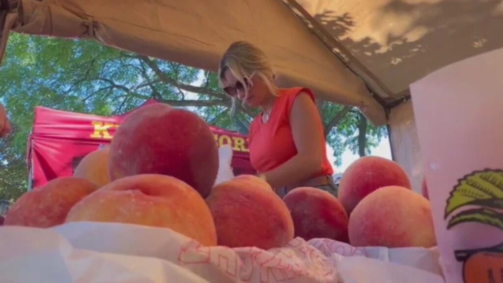 Romeo Peach Festival Wraps Up 95th Year With Food, Parades and Family Traditions