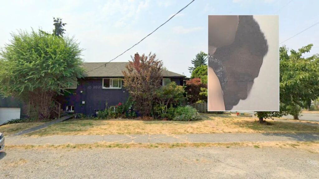 Seattle Father Pleads Not Guilty After 4-Month-Old Daughter Dies From Severe Injuries Seattle Father Pleads Not Guilty After 4-Month-Old Daughter Dies From Severe Injuries