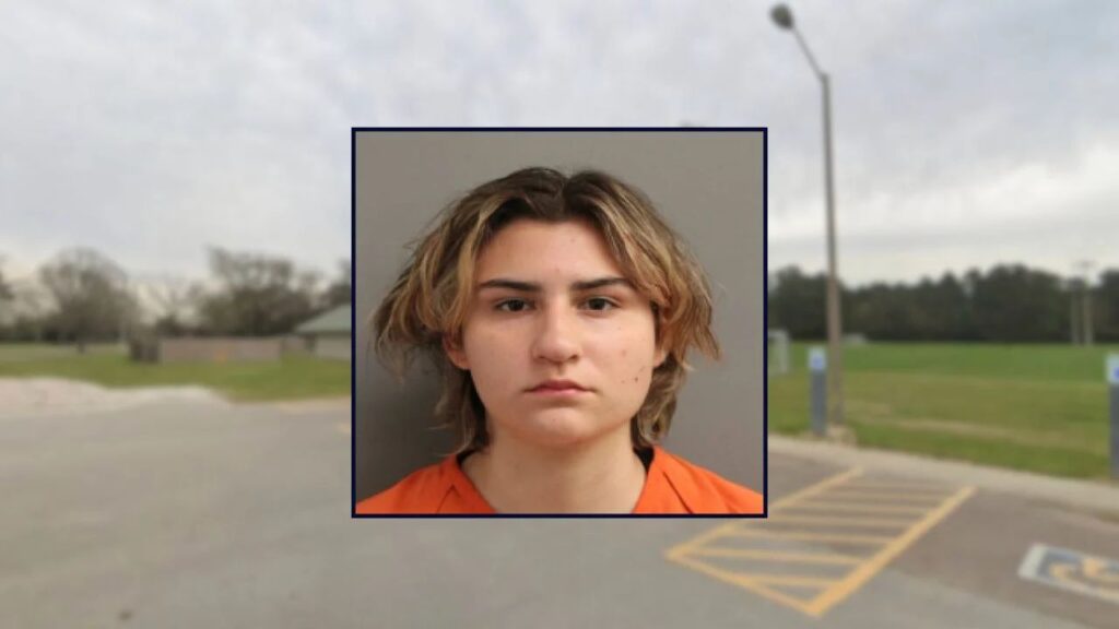 Texas Teen Accused of Luring Man to Park and Stabbing Him in Face and Head Texas Teen Accused of Luring Man to Park and Stabbing Him in Face and Head