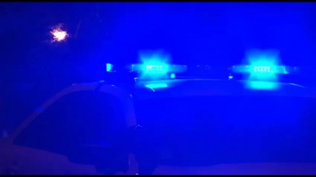 Three Chicago Officers Injured After Dog Attack in Humboldt Park