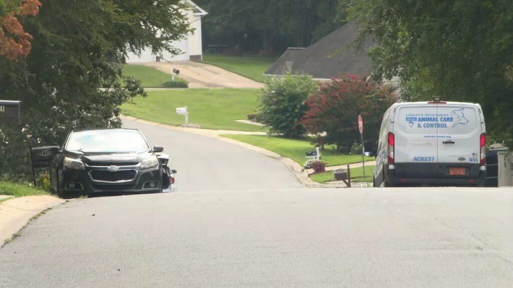 Two Arrested After Seven Dogs Injured Four People in Northwest Charlotte Two Arrested After Seven Dogs Injured Four People in Northwest Charlotte
