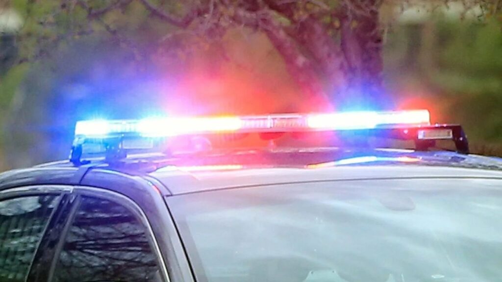 Vernon Man Arrested After Domestic Assault Investigation on Forrett Drive Vernon Man Arrested After Domestic Assault Investigation on Forrett Drive