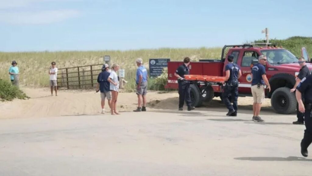 Woman Hospitalized After Possible Shark Bite at Martha’s Vineyard Beach Woman Hospitalized After Possible Shark Bite at Martha’s Vineyard Beach