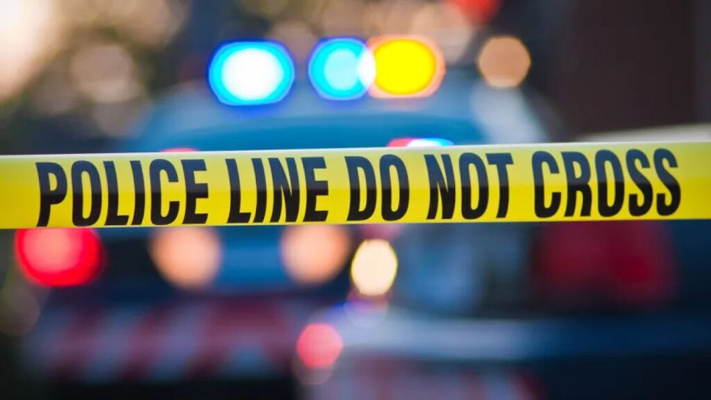 71-Year-Old Woman Killed in North Hollywood Hit-and-Run as LAPD Searches for Driver