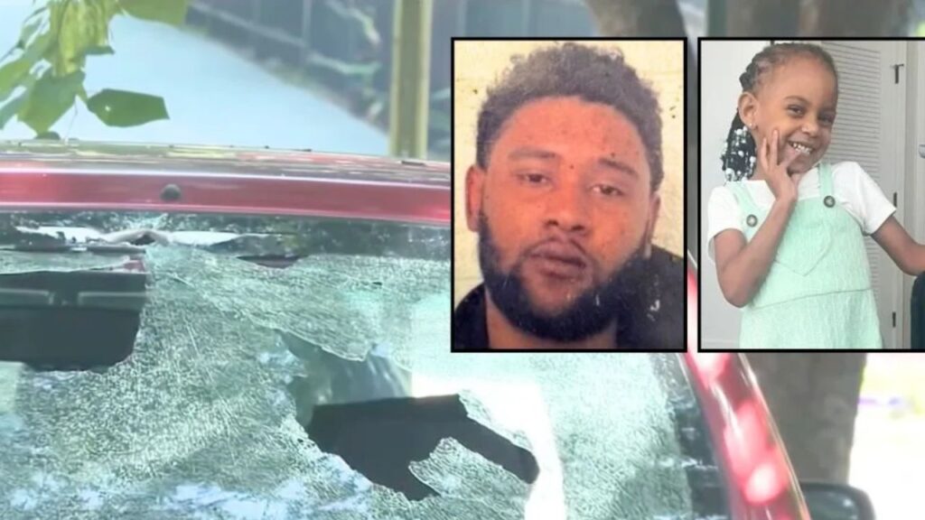 D.C. Man Pleads Guilty to Killing 3-Year-Old Girl After Family Returned From Fireworks D.C. Man Pleads Guilty to Killing 3-Year-Old Girl After Family Returned From Fireworks