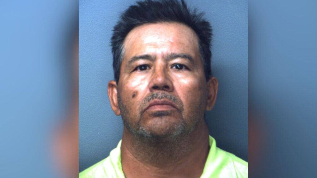 Driver Arrested After Puppy Falls From Moving Pickup Truck Near Horizon City Driver Arrested After Puppy Falls From Moving Pickup Truck Near Horizon City