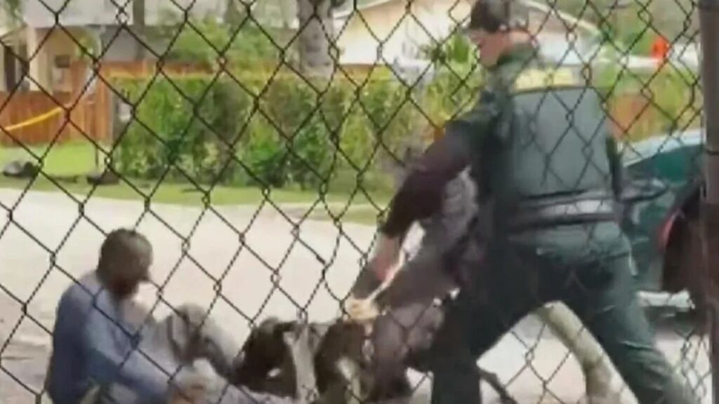 Family Seeks Answers After Broward Sheriff K-9 Bites Man During Pompano Beach Arrest