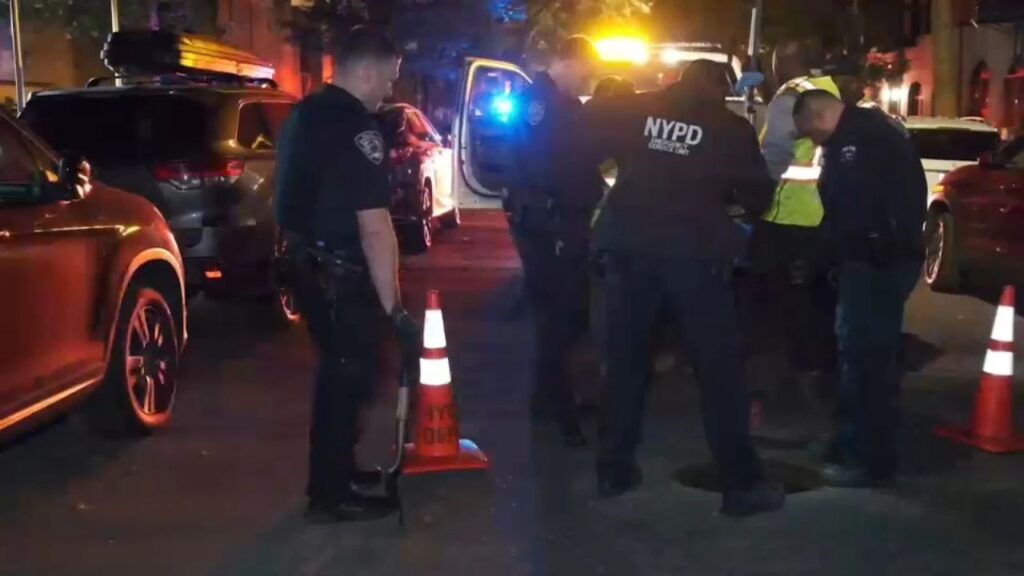 Five People Seen Emerging From Manhattan Sewer as Police Investigate Another Incident