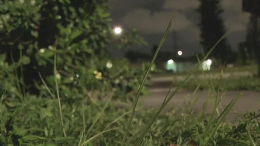 Florida Mother Says She Waited Months for Answers After Man Was Seen Outside Her Bedroom Window Florida Mother Says She Waited Months for Answers After Man Was Seen Outside Her Bedroom Window