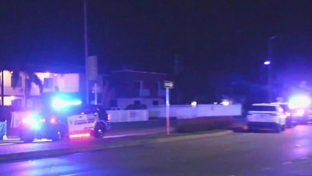 Florida Woman Accused of Fatal Dania Beach Hit-and-Run After Investigators Trace Car to Dealership Florida Woman Accused of Fatal Dania Beach Hit-and-Run After Investigators Trace Car to Dealership