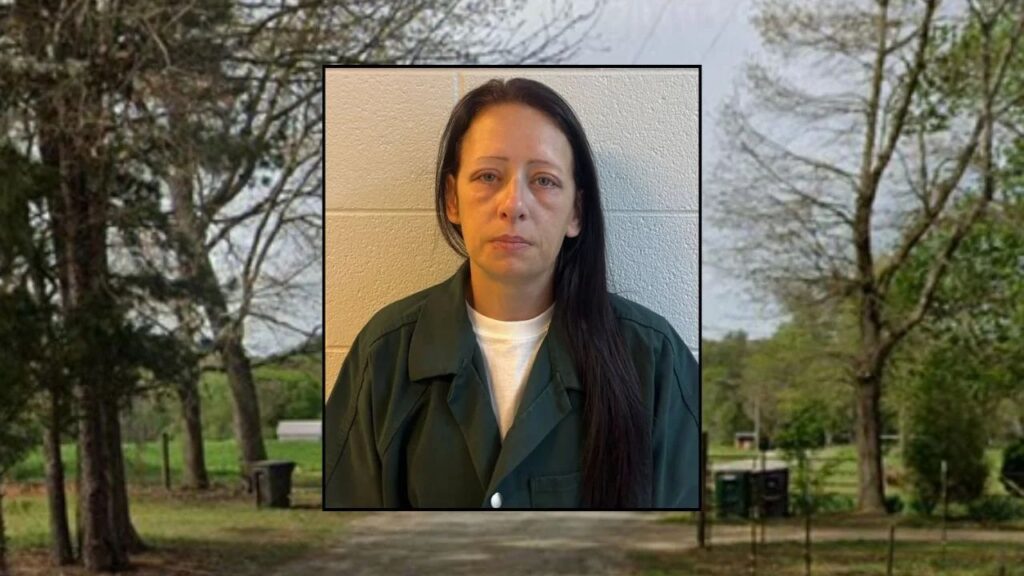 Great-Aunt Charged in Toddler’s Death After Fatal Blunt Force Trauma, Police Say Great-Aunt Charged in Toddler’s Death After Fatal Blunt Force Trauma, Police Say