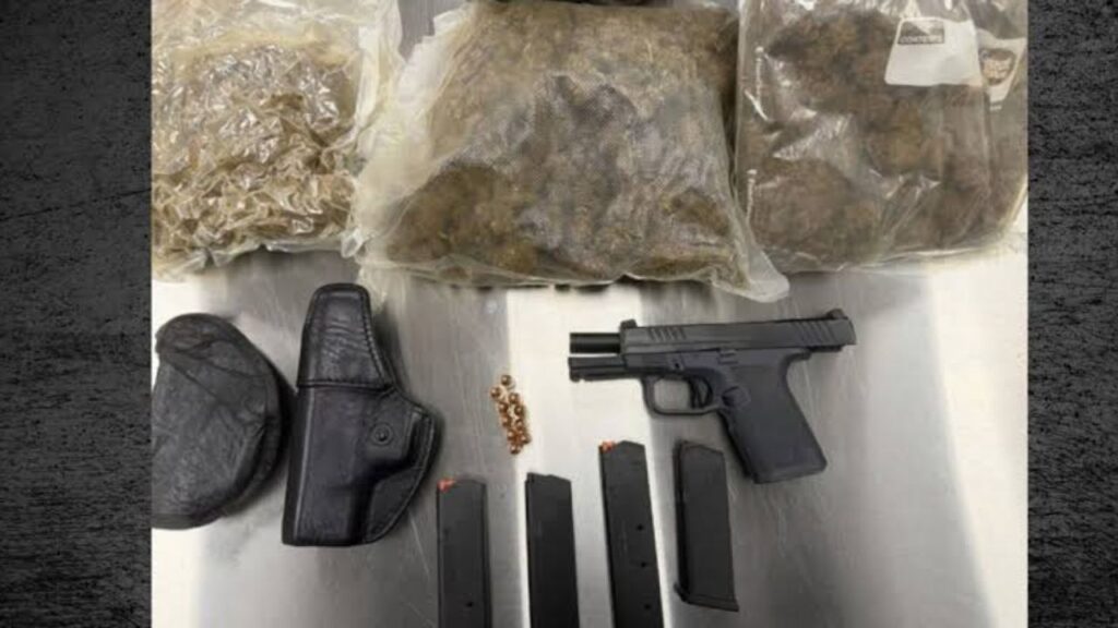 Hollywood Man Arrested After Probation Search Finds Cannabis and Handgun