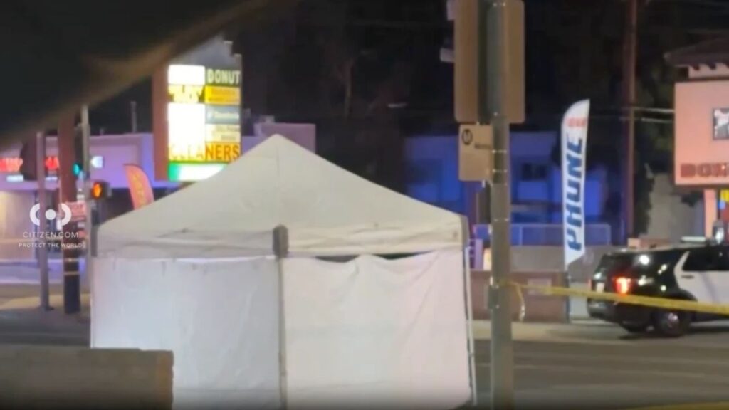 LAPD Searches for Dark SUV After Fatal Chatsworth Hit-and-Run, Offering $50,000 Reward LAPD Searches for Dark SUV After Fatal Chatsworth Hit-and-Run, Offering $50,000 Reward