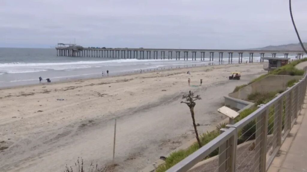 La Jolla Death of 26-Year-Old Woman Ruled Accidental Drowning Months After Body Was Found La Jolla Death of 26-Year-Old Woman Ruled Accidental Drowning Months After Body Was Found
