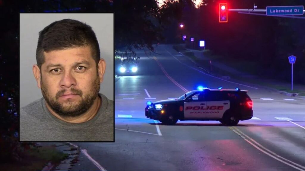 Minnesota Driver Who Fatally Struck Pedestrian Before Driving to Roofing Job Gets Home Detention