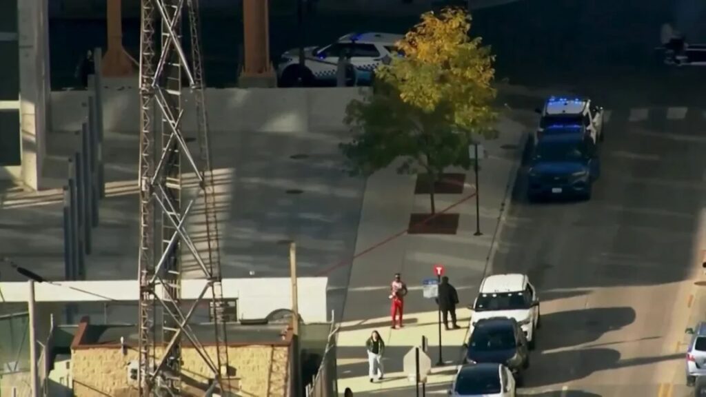 Suspect in Custody After CTA Janitor Julian Mobley Is Fatally Stabbed at Chicago Green Line Station