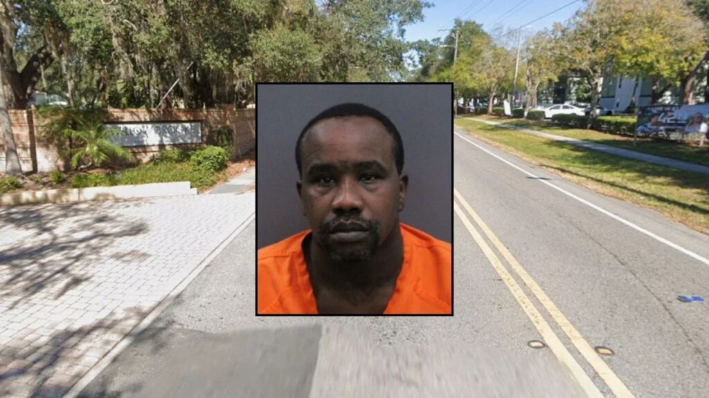 Toddler Found Wandering Alone on Tampa Road Leads Deputies to Four More Children Inside Home