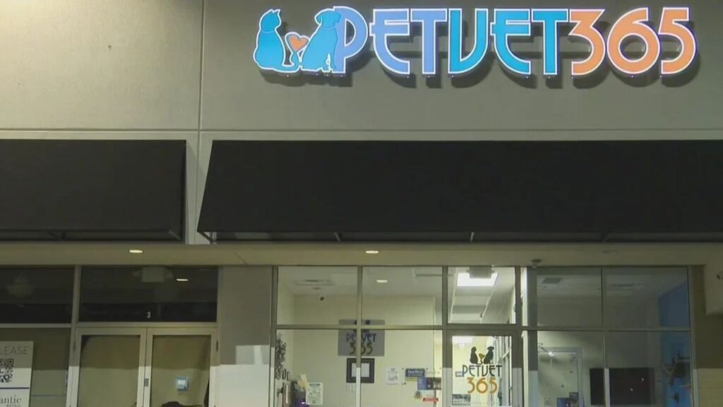 Woman Arrested After Donation Box With Hundreds of Dollars Stolen From South Hills Vet Clinic Woman Arrested After Donation Box With Hundreds of Dollars Stolen From South Hills Vet Clinic